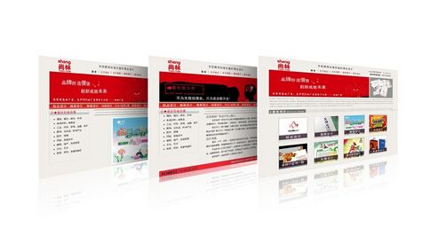 綿陽網(wǎng)站建設